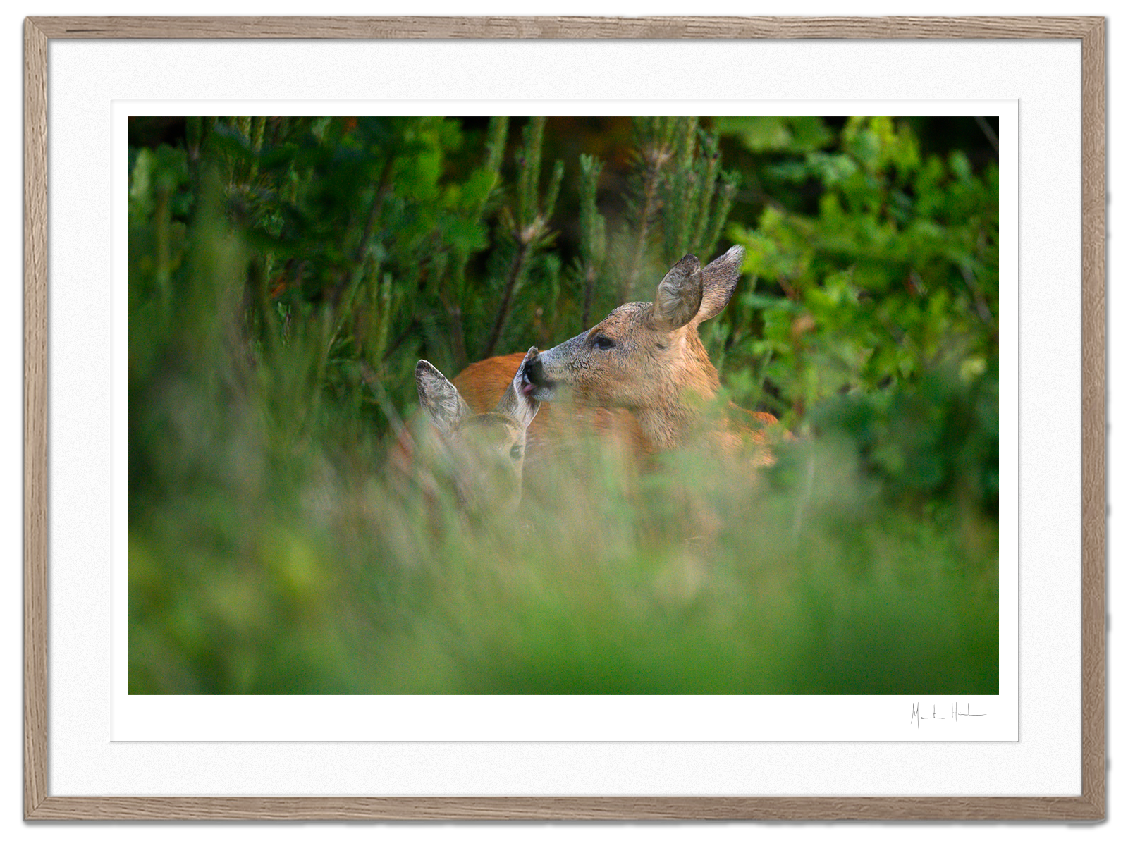 New Life FineArt Print Morten Hilmer new-life-fineart-print-morten-hilmer