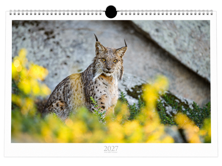 2027 Calendar
