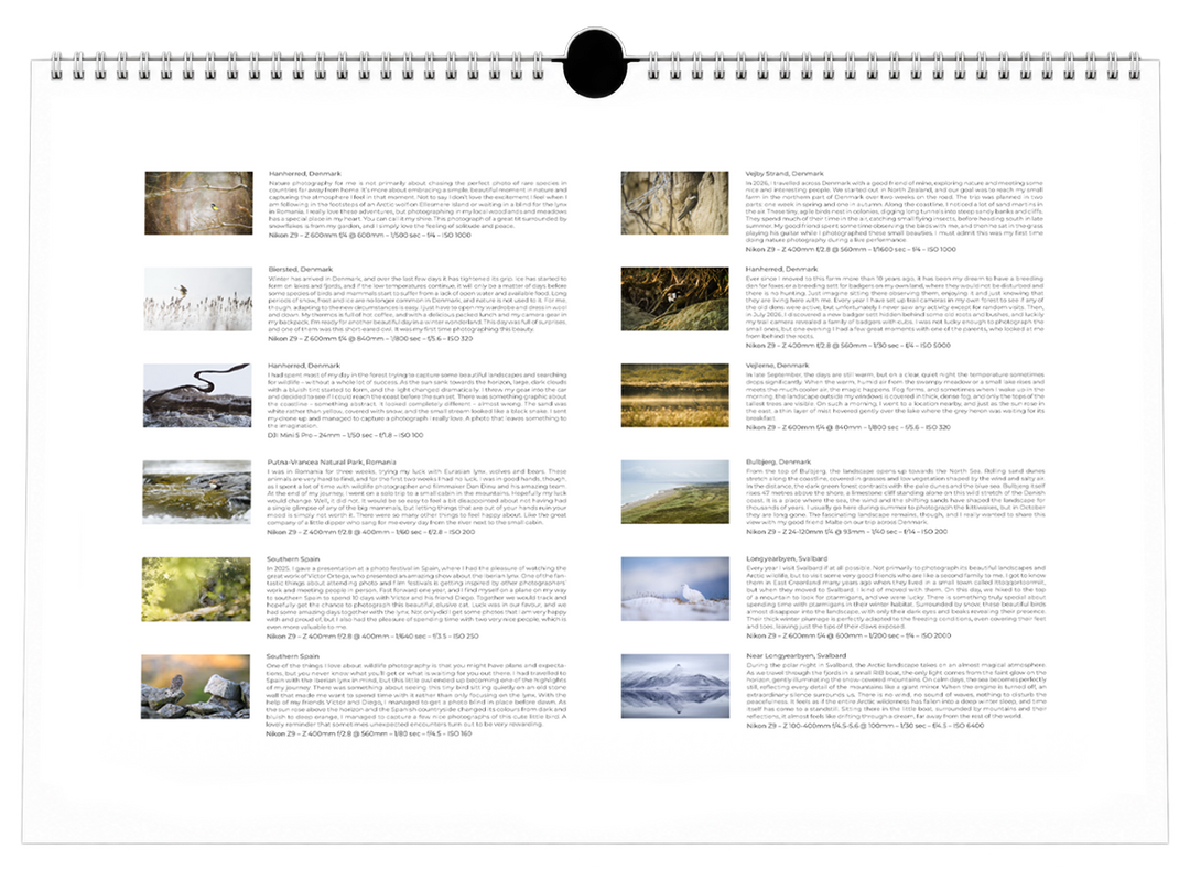 2027 Calendar