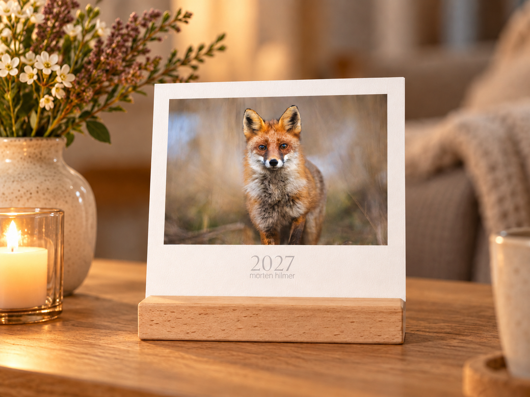 2027 Calendar