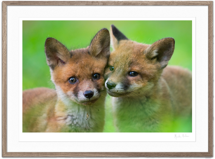 Shop Morten Hilmer shop-morten-hilmer