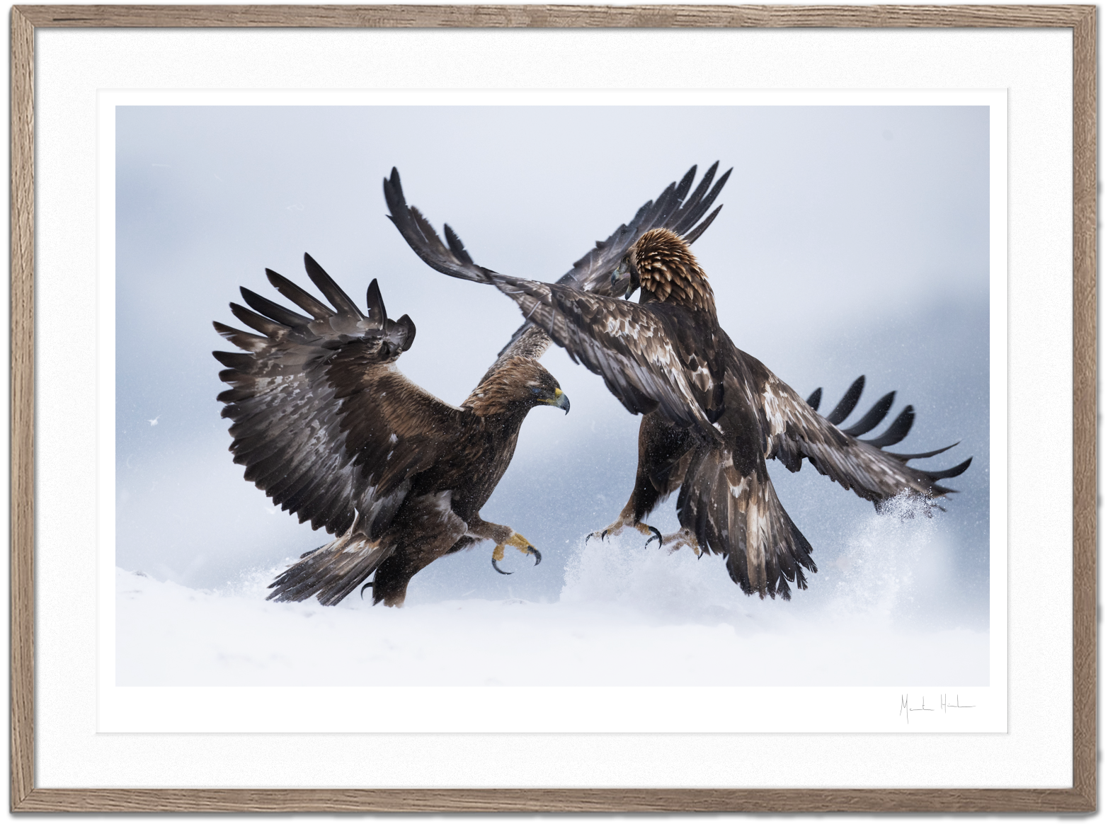 The Fight - FineArt print – Morten Hilmer