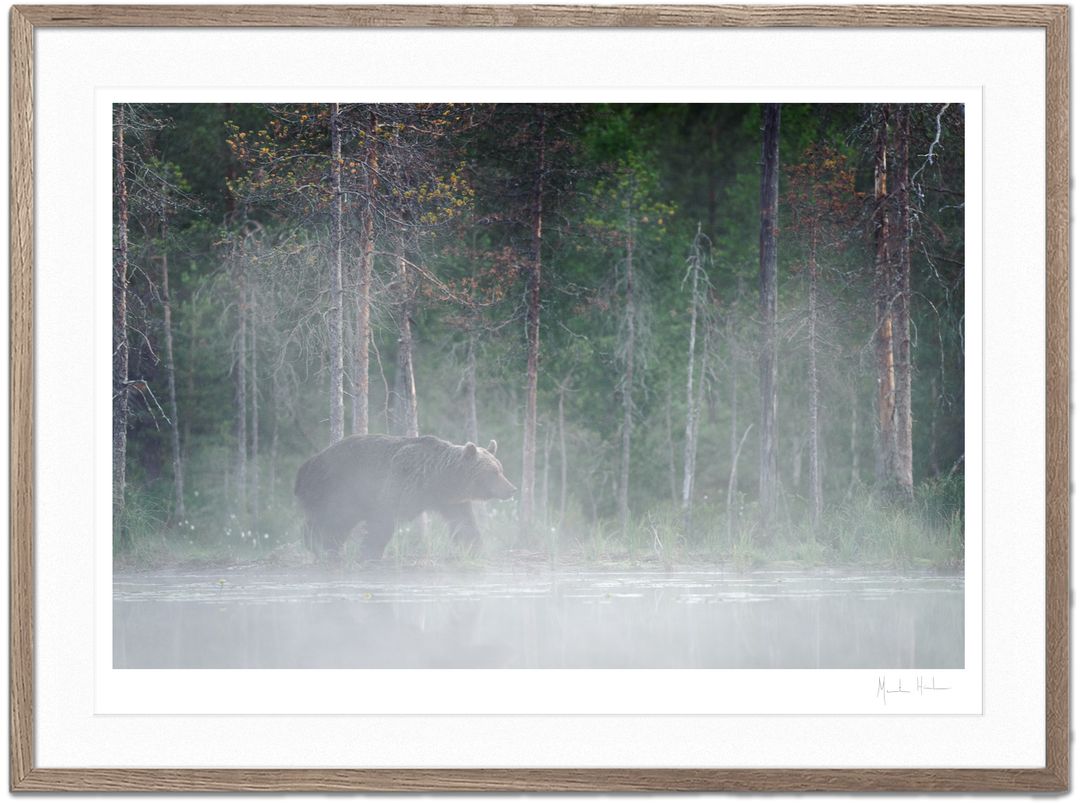 Shop Morten Hilmer shop-morten-hilmer